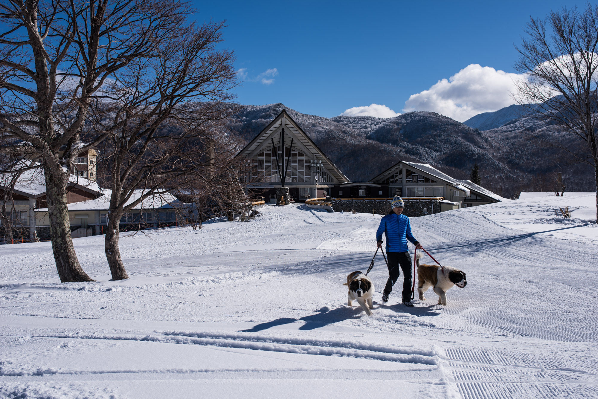 Okushiga Kogen Hotel Yamanouchi  Exterior foto